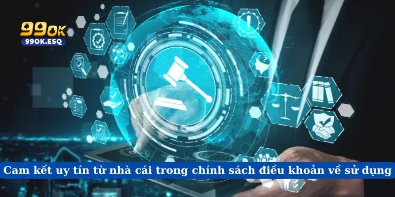 Cam kết uy tín từ nhà cái trong chính sách điều khoản về sử dụng
