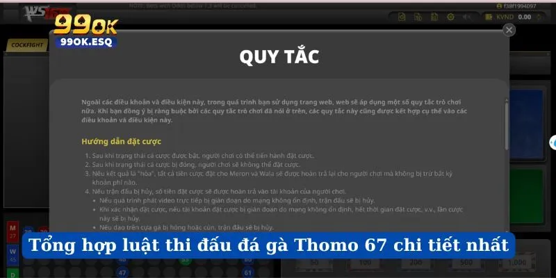 Tổng hợp luật thi đấu đá gà Thomo 67 chi tiết nhất