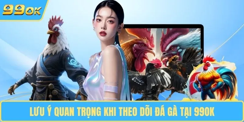 Lưu ý quan trọng khi theo dõi đá gà tại 99OK